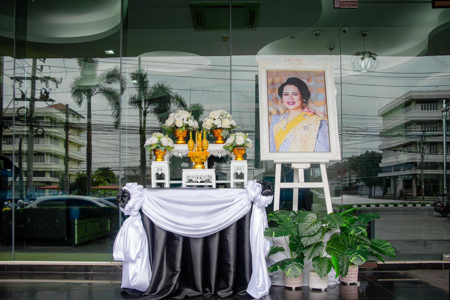 571308219 1685976746004236 7012274348974645147 n